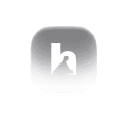 Spotlight publication icon